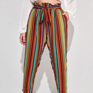 Never wore multi colored shein pants 3xl.